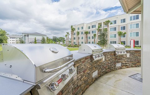 Grilling Station at Heron Ridge 62+ Apartments, Kissimmee, FL